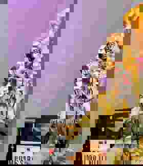 146 B40I8481