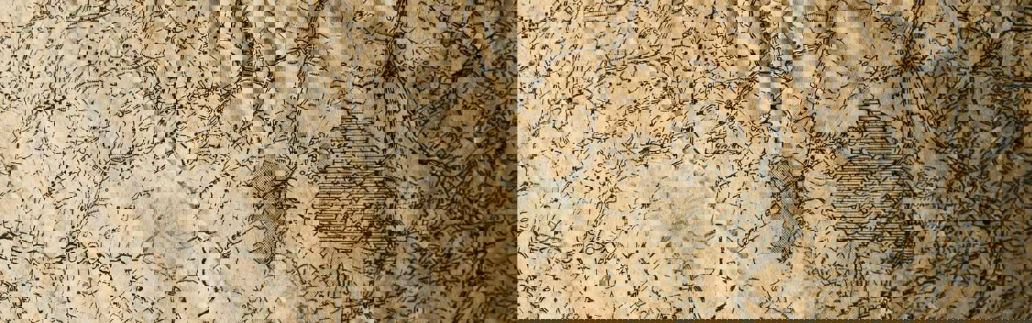 Nik Shuliahin Rkfiie9pxh0 Unsplash