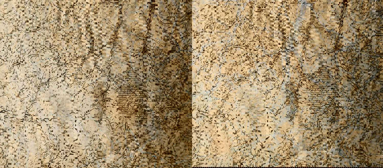 Nik Shuliahin Rkfiie9pxh0 Unsplash